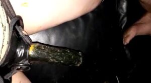 Free Scat Porn