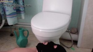 Free Scat Porn