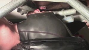 Free Scat Porn