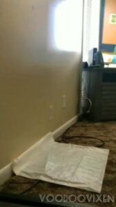 Free Scat Porn