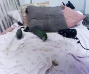 Free Scat Porn