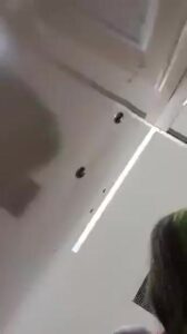 Free Scat Porn