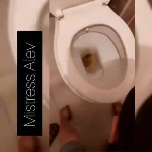 Free Scat Porn