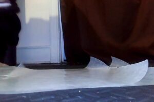 Free Scat Porn