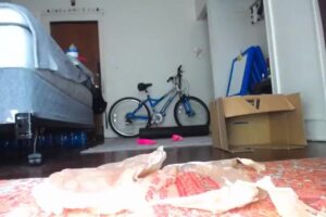 Free Scat Porn