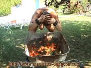 Free Scat Porn