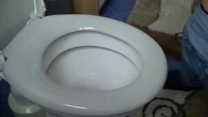 Free Scat Porn