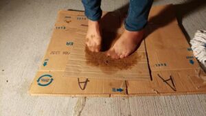 Free Scat Porn