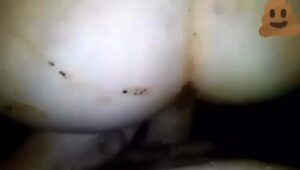 Free Scat Porn