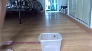Free Scat Porn