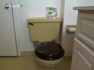 Free Scat Porn