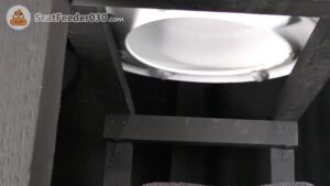 Free Scat Porn