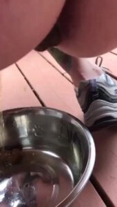 Free Scat Porn