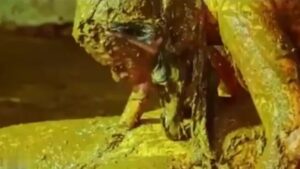 Free Scat Porn