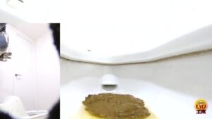 Free Scat Porn