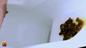 Free Scat Porn