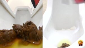 Free Scat Porn