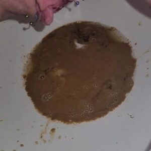 Free Scat Porn