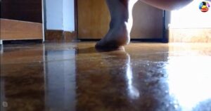 Free Scat Porn