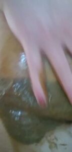 Free Scat Porn
