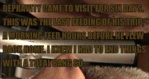 Free Scat Porn