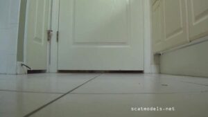 Free Scat Porn