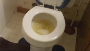 Free Scat Porn