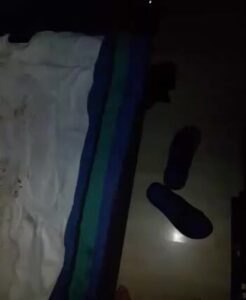 Free Scat Porn