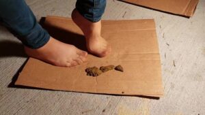 Free Scat Porn
