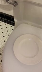 Free Scat Porn