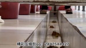 Free Scat Porn