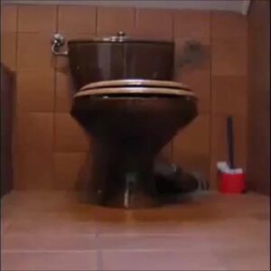 Free Scat Porn