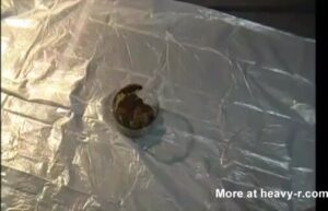 Free Scat Porn