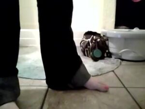 Free Scat Porn