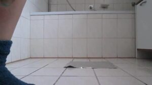 Free Scat Porn