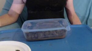 Free Scat Porn