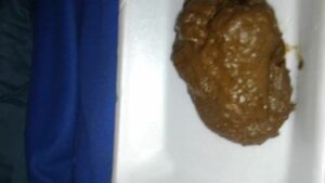 Free Scat Porn