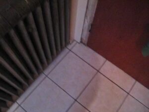 Free Scat Porn