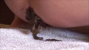 Free Scat Porn