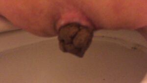 Free Scat Porn