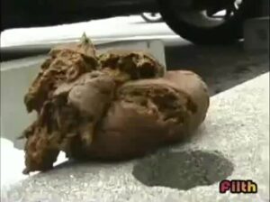 Free Scat Porn