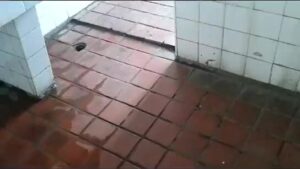 Free Scat Porn