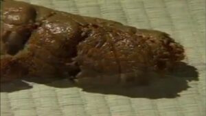 Free Scat Porn