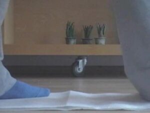 Free Scat Porn