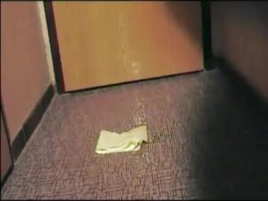 Free Scat Porn