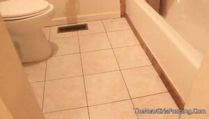 Free Scat Porn