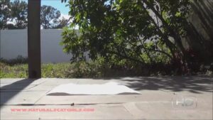 Free Scat Porn