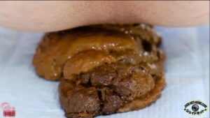Free Scat Porn