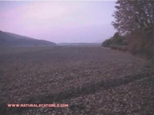 Free Scat Porn