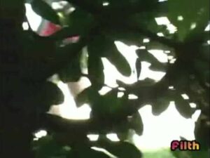 Free Scat Porn